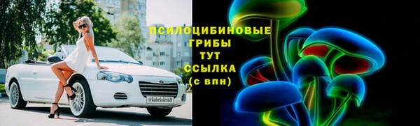 эйфоретик Липки
