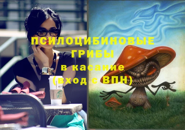 эйфоретик Липки