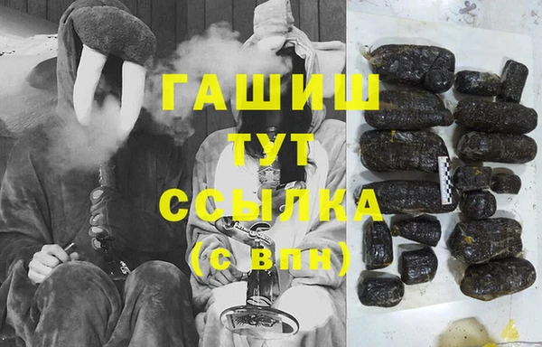 шишки Магас