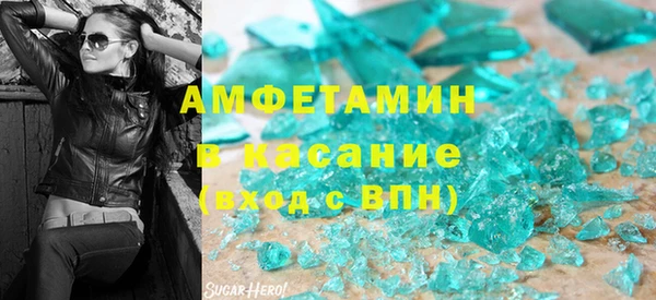 шишки Магас
