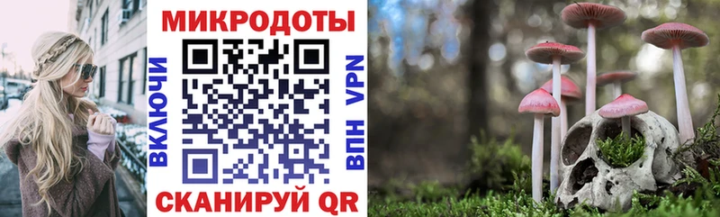 Купить где  Апатиты  Галлюциногенные грибы Cubensis 